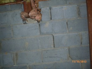 Foundation wall cracks